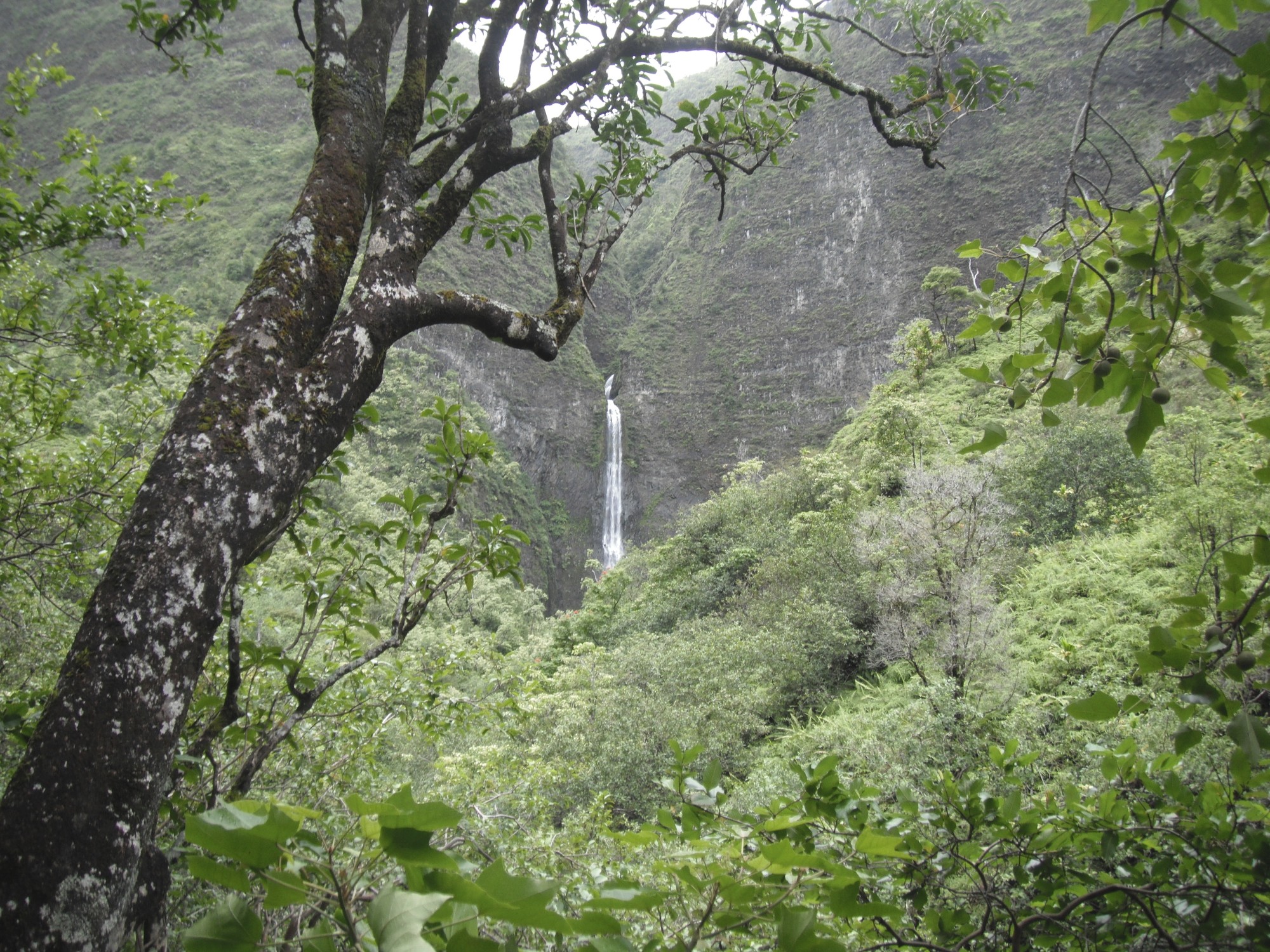 Kauai