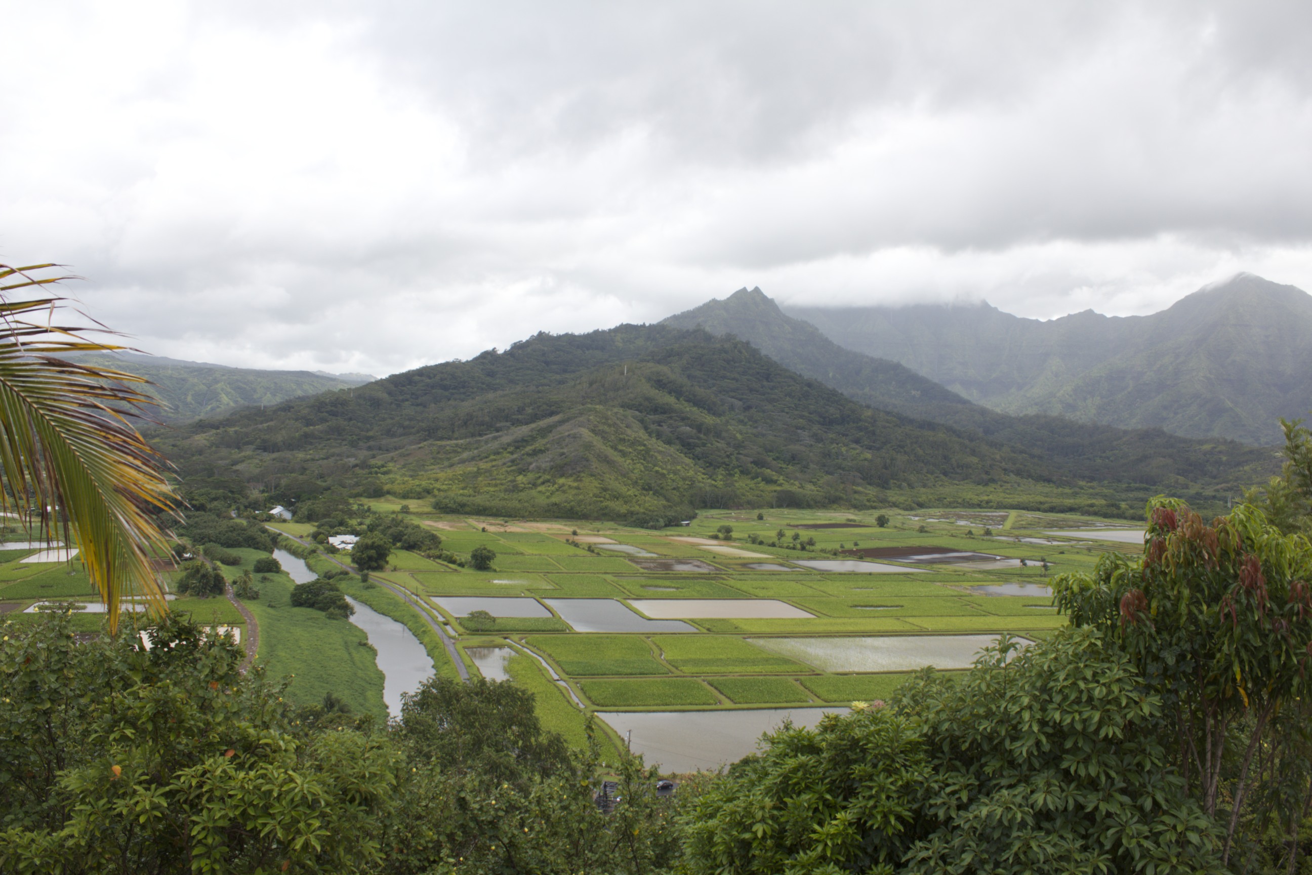 Kauai