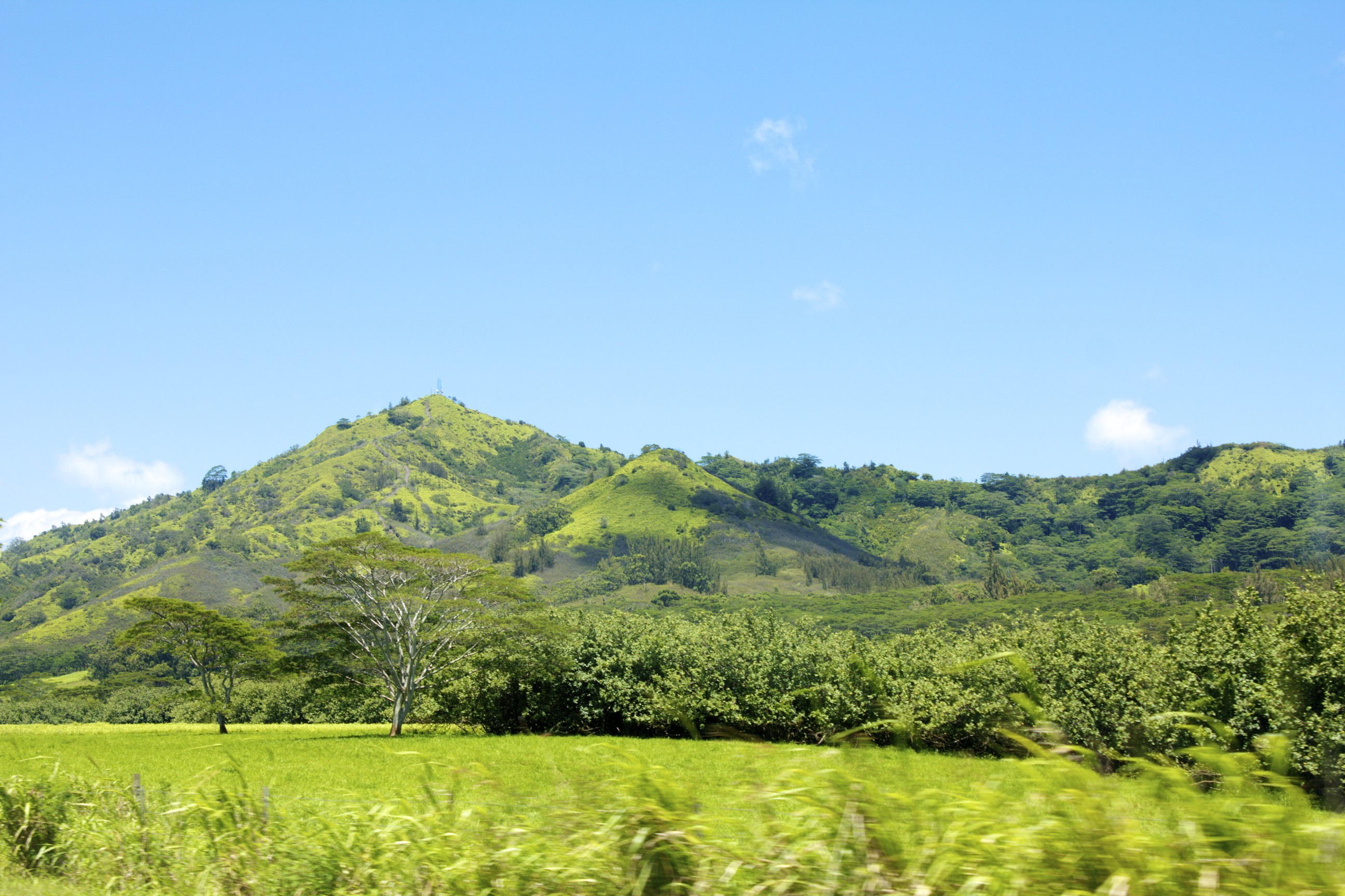 Kauai