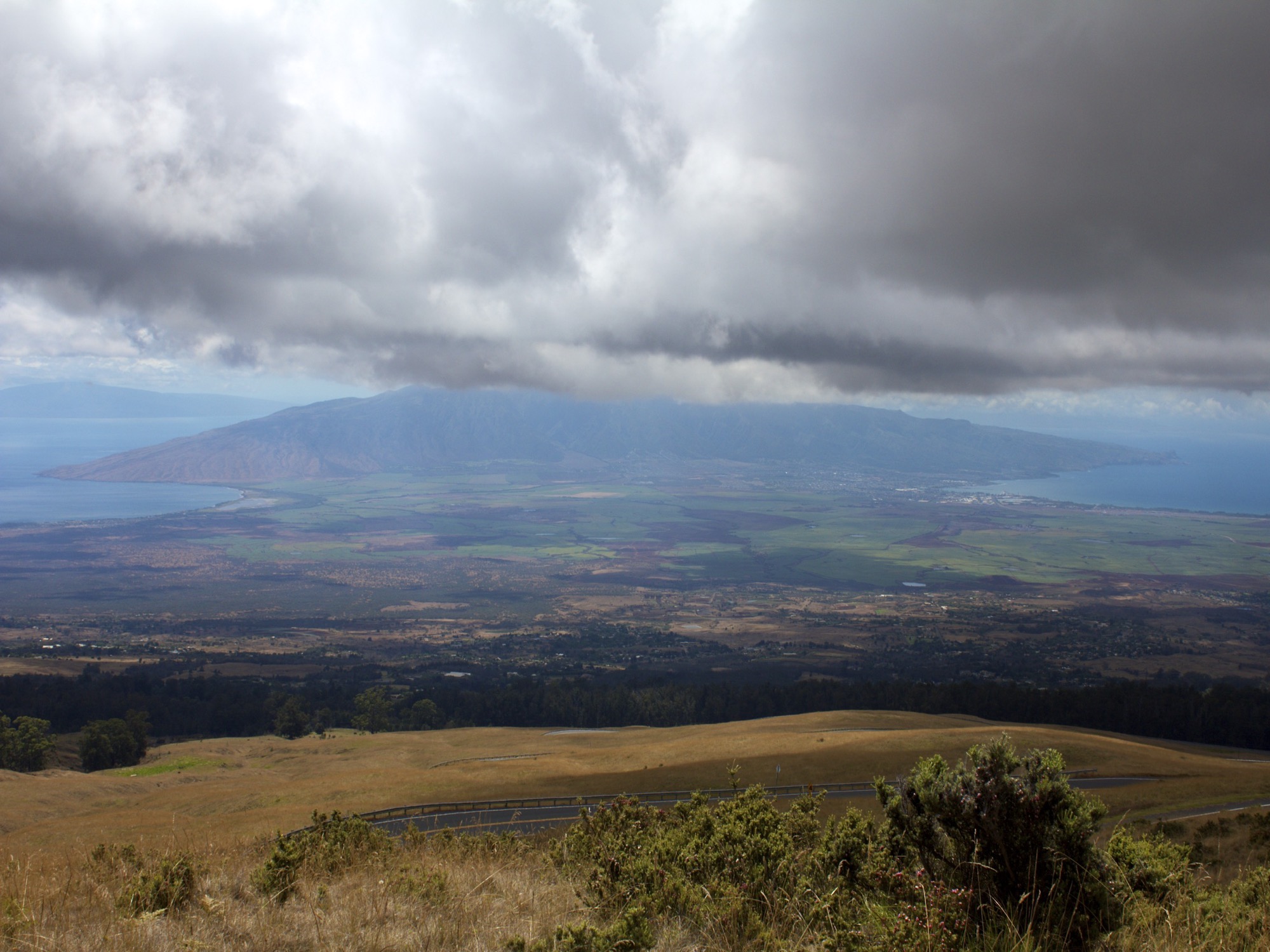 Maui